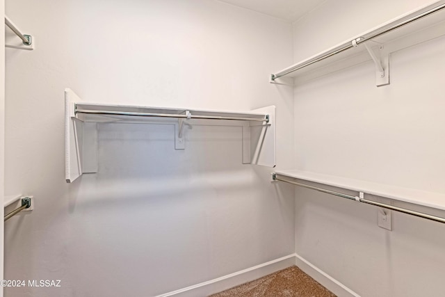 spacious closet with carpet flooring