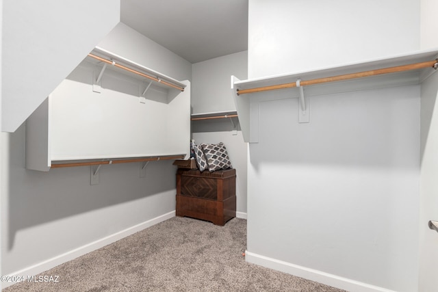 walk in closet with light colored carpet