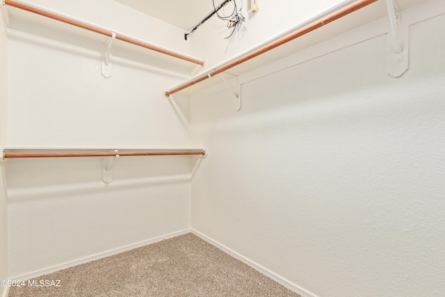 spacious closet with carpet