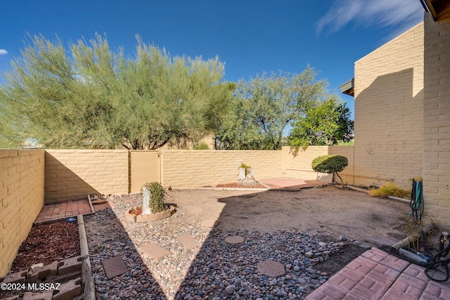 view of yard featuring a patio area