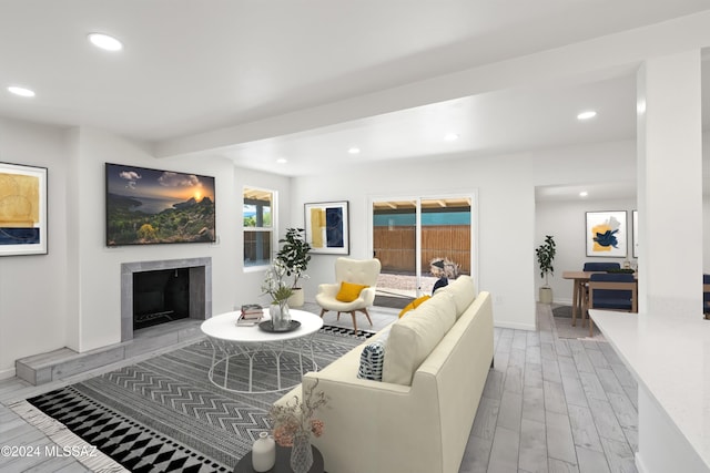 living room featuring light hardwood / wood-style flooring