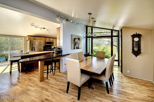 dining room with rail lighting, plenty of natural light, and light hardwood / wood-style floors