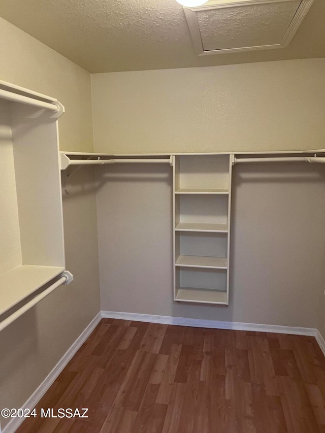 walk in closet featuring dark wood-type flooring