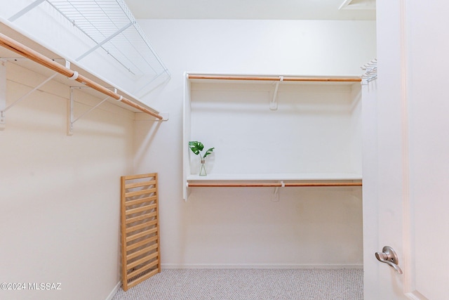 spacious closet with light carpet