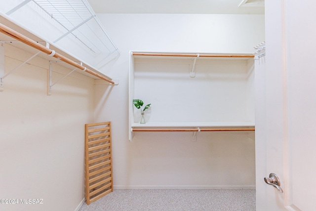 spacious closet with carpet
