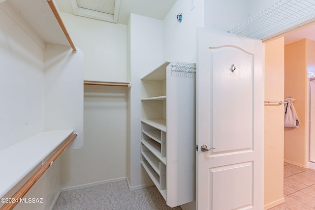 view of spacious closet