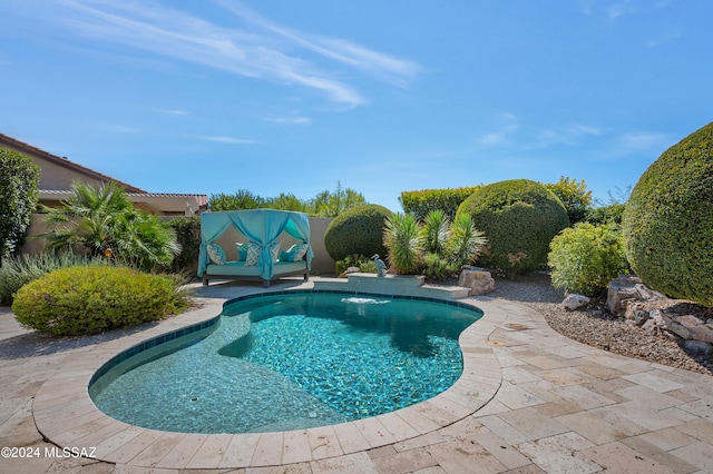 view of pool with a patio