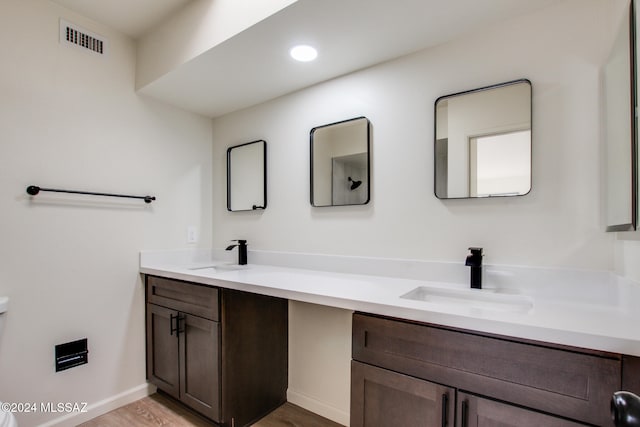 bathroom with vanity and wood-type flooring