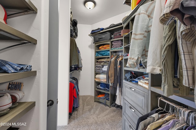 walk in closet with light carpet