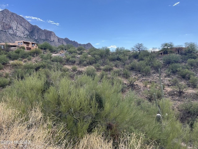 Listing photo 3 for 10241 N Cliff Dweller Place -, Oro Valley AZ 85737