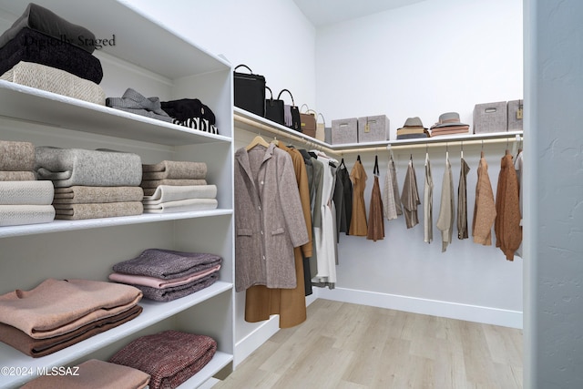 spacious closet with light hardwood / wood-style flooring