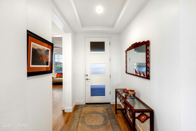 doorway with a raised ceiling and wood-type flooring