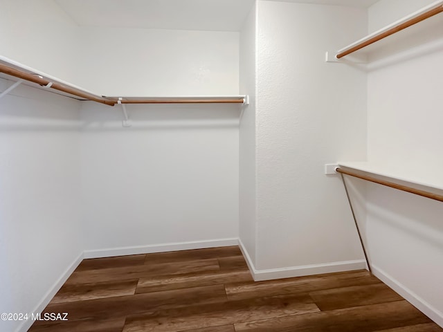 spacious closet featuring dark wood-type flooring