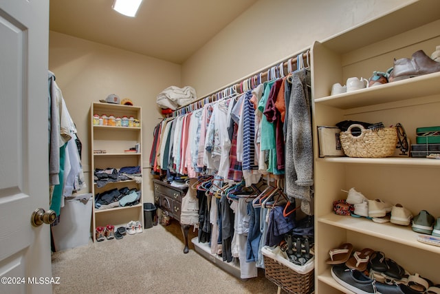 spacious closet with carpet flooring