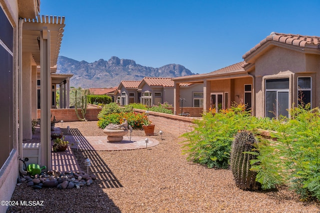 view of yard featuring a patio area and a mountain view