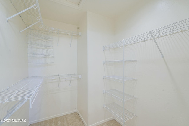 1888 Circulo Guatemala, Rio Rico, AZ 85648 - view of walk in closet