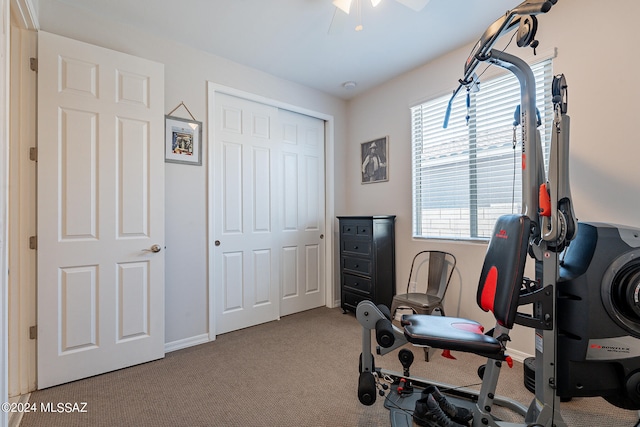 workout area featuring ceiling fan and light colored carpet