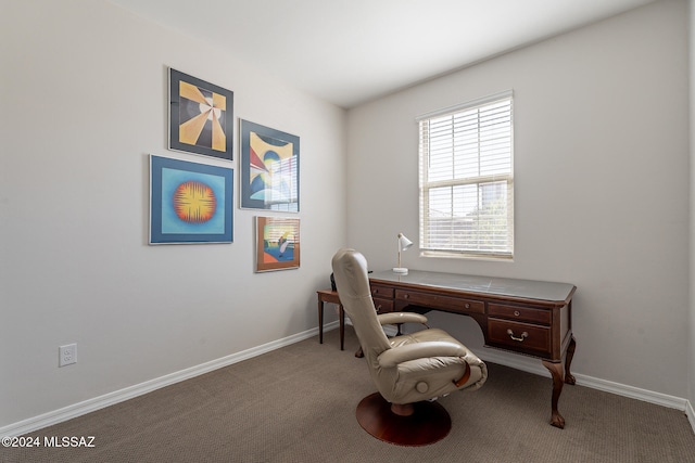 office featuring carpet flooring