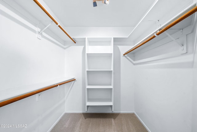 walk in closet featuring carpet flooring