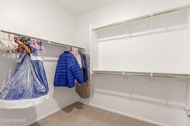 walk in closet featuring carpet floors