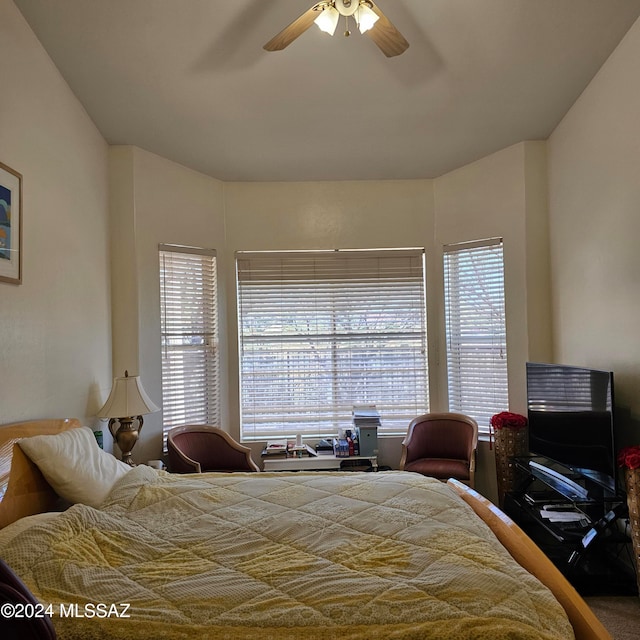 bedroom with ceiling fan