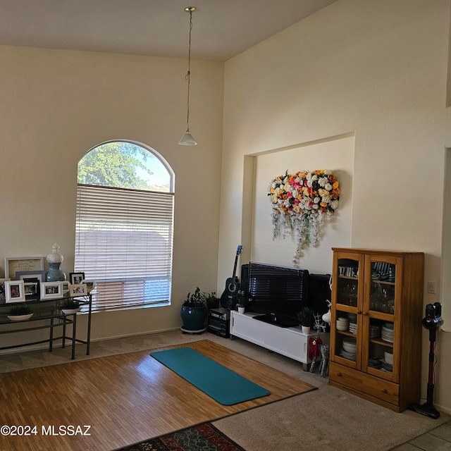 interior space with high vaulted ceiling