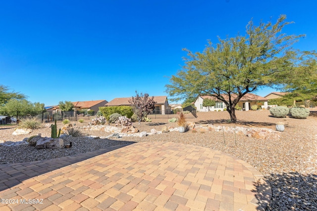 view of yard featuring a patio area