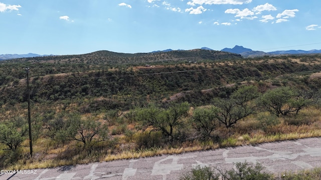 1107 Via Jacaranda Unit 41, Rio Rico AZ, 85648 land for sale