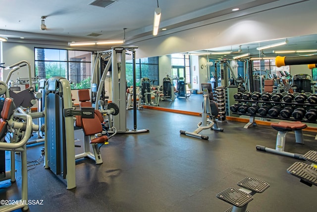 exercise room with plenty of natural light