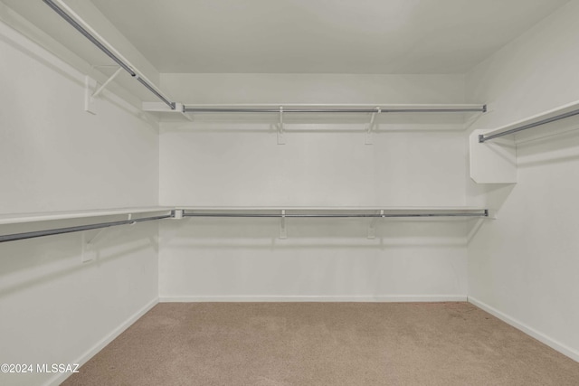 walk in closet with light colored carpet