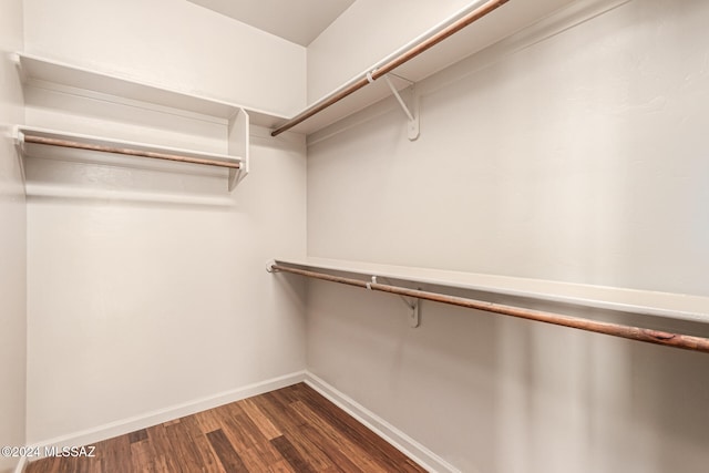 walk in closet featuring dark hardwood / wood-style flooring