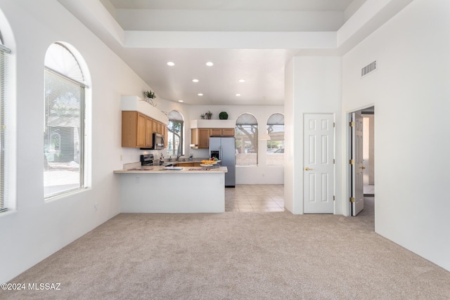 kitchen featuring kitchen peninsula, appliances with stainless steel finishes, light carpet, and a healthy amount of sunlight