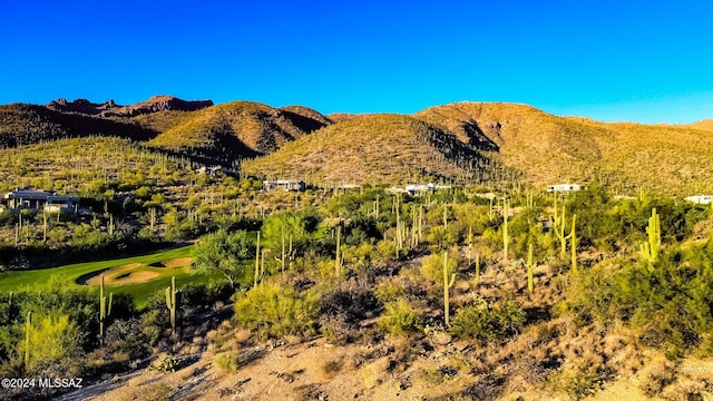 view of mountain feature