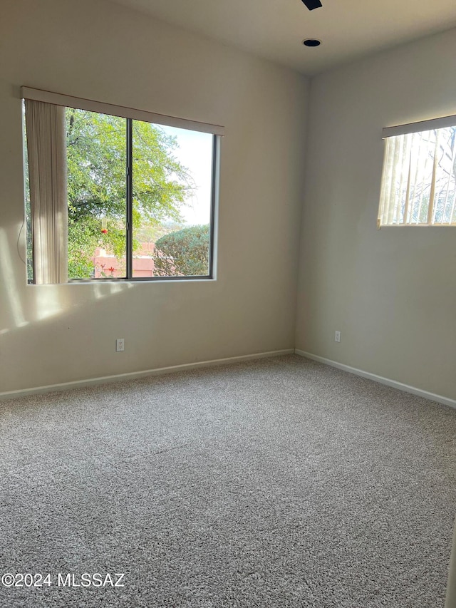 carpeted empty room with a wealth of natural light