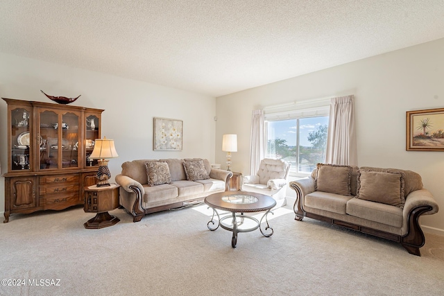 living area with carpet and a textured ceiling