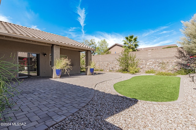 view of yard with a patio area