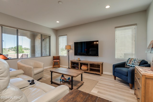 living room with light wood-type flooring and a healthy amount of sunlight