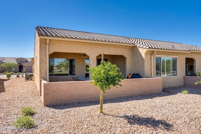 back of property with ceiling fan