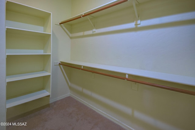 spacious closet featuring carpet flooring