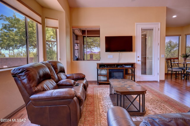 living room featuring hardwood / wood-style flooring