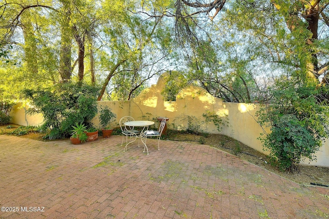 view of yard with a patio