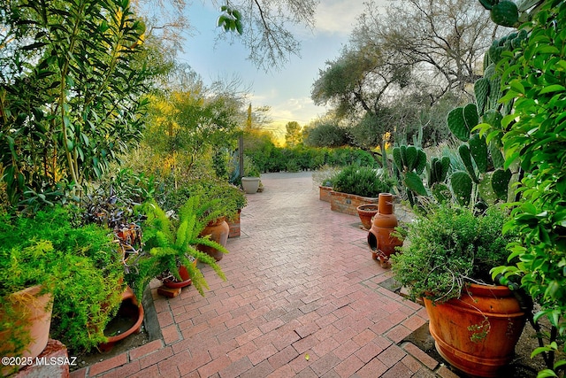 surrounding community with a patio