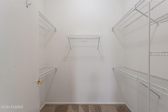 walk in closet with carpet