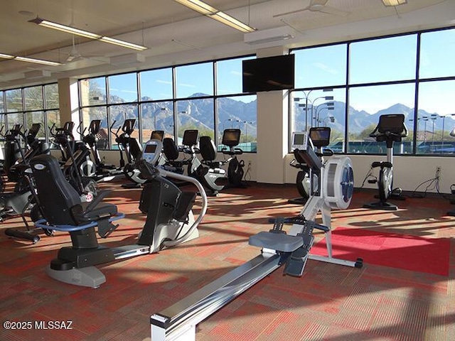 gym featuring a healthy amount of sunlight and carpet