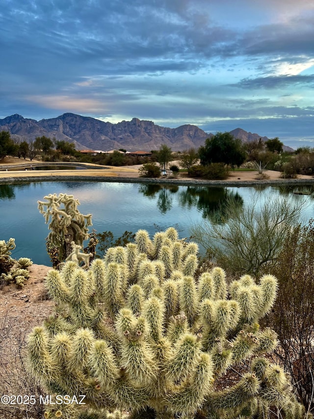view of water feature featuring a mountain view