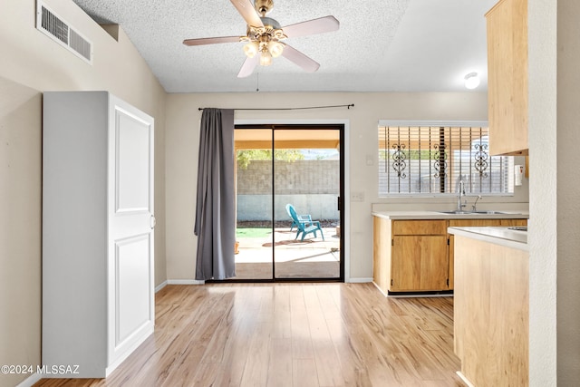 interior space with ceiling fan, a textured ceiling, sink, and light wood-type flooring