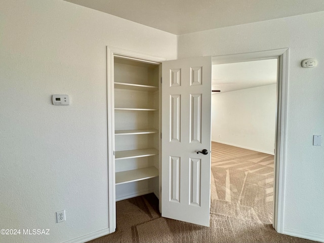 view of closet