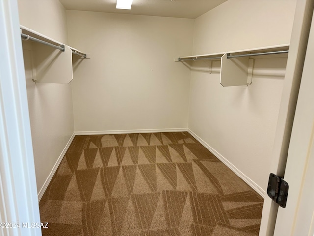 walk in closet featuring carpet