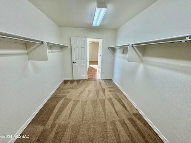 walk in closet featuring carpet