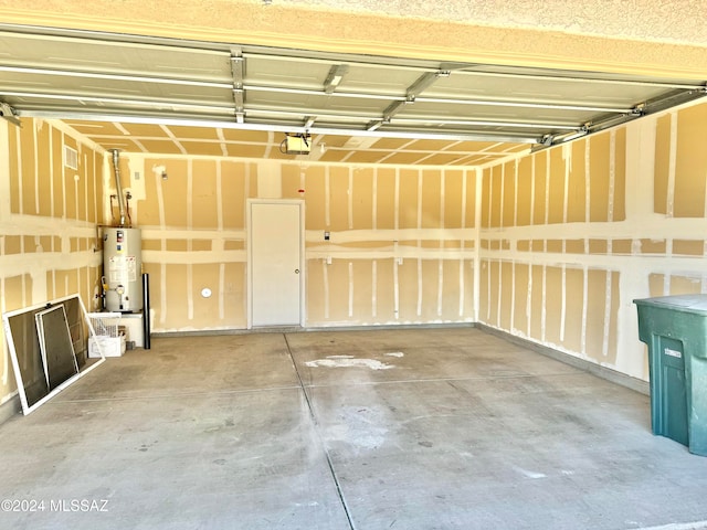 garage featuring a garage door opener and gas water heater